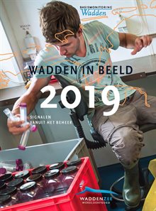 Cover: Wadden in Beeld 2019